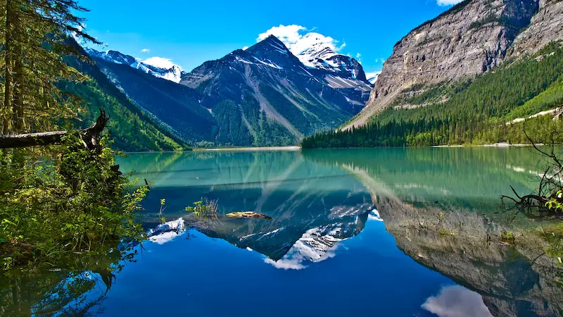 British Columbia'daki En İyi Üniversiteler