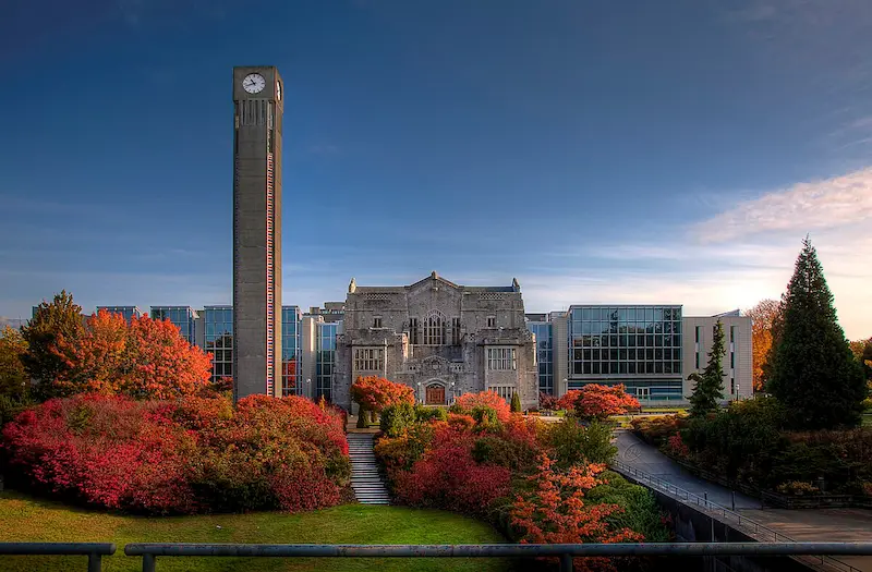 british columbia üniversitesi