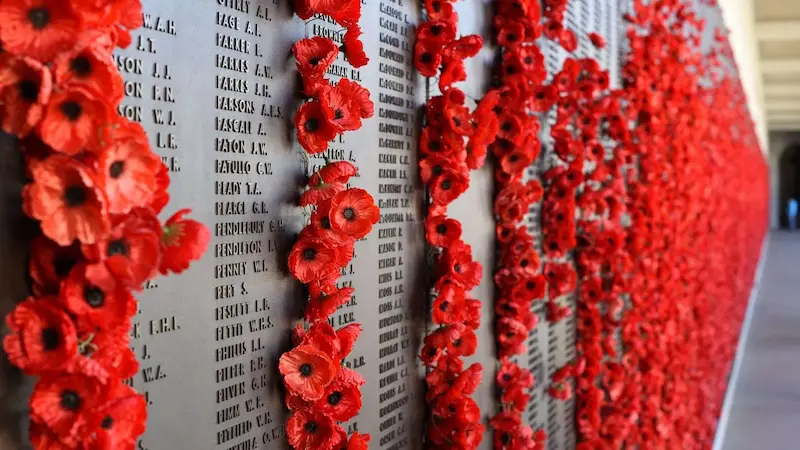 Remembrance Day (1)